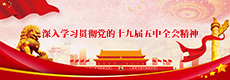 党的十九届五中全会精神